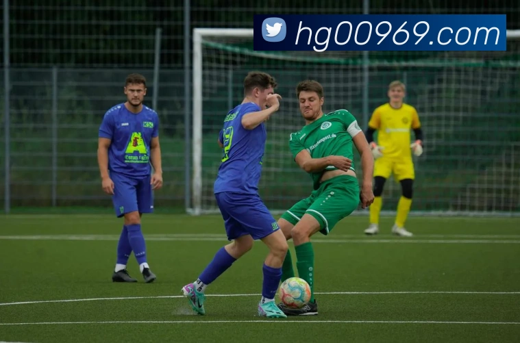 App Interface Preview